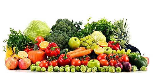 Esenyurt Catering Firmaları - Catering Firmaları