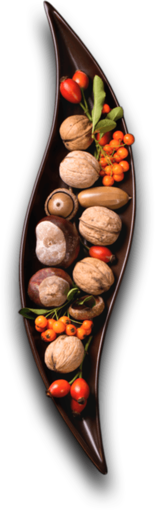 Tuzla Catering Firmaları, Catering Firmaları